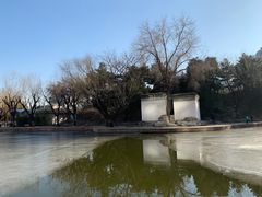 -团结湖公园