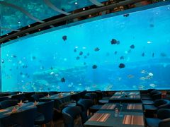 -瑞德姆美人鱼海底演艺主题餐厅(亚龙湾店)