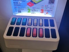 -华嫂冰室(尖沙咀店)