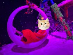 -圣名游乐城冰雪大世界