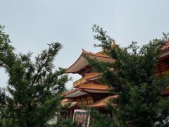 -三水森林公园