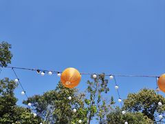 -伴山茶苑·一盏冰茶·半日山居