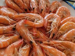 -鲤鱼塘农家山庄