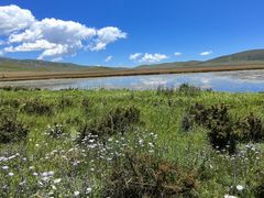 -郭莽湿地