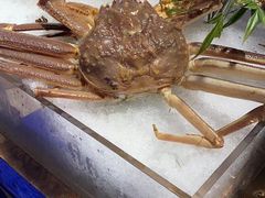 -乔哥铭洋海鲜自助(皇城恒隆广场店)