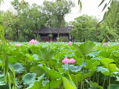 -宝光寺