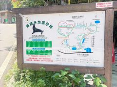 -贵州森林野生动物园