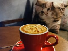 -咖法森林·咖啡  酒吧(天河店)