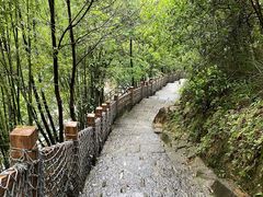 -广州白江湖森林公园