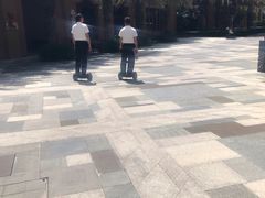 -三亚湾红树林度假世界(木棉酒店)