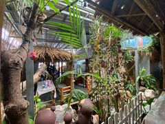 -Jungle Kitchen