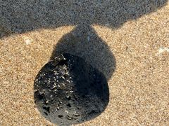 -北海金海湾红树林生态旅游区