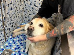 -FAELING PETS美天灵宠物(富力广场店)