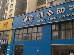 -恒幸动物医院·急重症转诊中心·神经内外科·CT核磁
