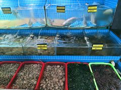 -望海潮海鲜店 特色家常菜(在海一方店)