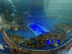 -欢乐海岸美食联盟