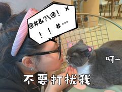 -藏猫猫咖啡主题馆(中央大道店)