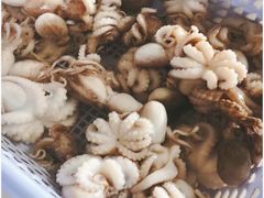 -南沙十九涌渔人码头-南门