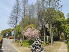 -陈家山荷花公园