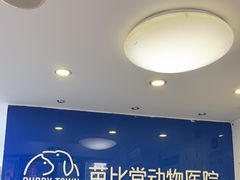 -芭比堂动物医院·心脏科·老年急重症·夜诊·吉雅分院