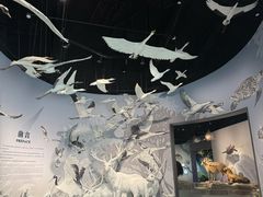 -中国湿地博物馆