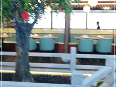 大堂-三凤酒家·百年无锡菜(清扬茂业店)