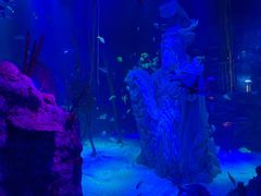 -沈阳海洋探索中心