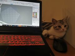-袖虎·猫馆(体育西路店)