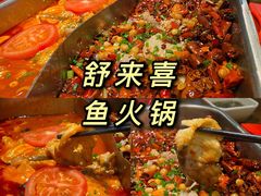 -舒来喜鱼锅(伊河路店)