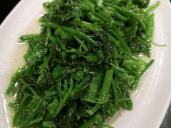 蒜蓉丝瓜苗-福照楼汽锅鸡·云南特色菜(万达广场店)