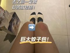 -同济牌坊美贤牛什