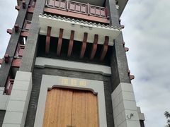 -王借岗森林公园