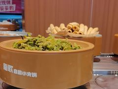 -龍歌自助小火锅(市南金茂湾店)