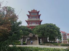 -奉贤海滩