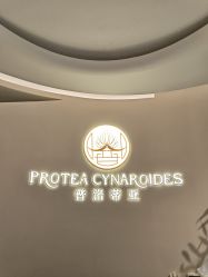 -普洛蒂亚·科技美肤中心