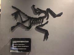 -ARC'TERYX始祖鸟(北京王府中环店)