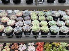 -鹿岛生活(熙地港店)