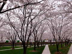 -龙美术馆西岸馆-停车场