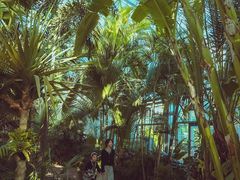 -国家植物园南园