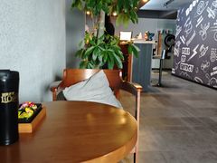 -梵猫·新养生(湛江鼎盛店)
