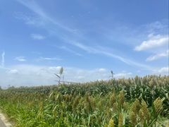 -三圣花乡旅游区