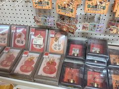 -鹏佳腾学生文创