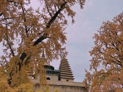 -北京石刻艺术博物馆(五塔寺)