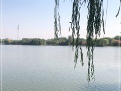 -大兴滨河森林公园