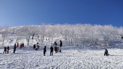 -大秃顶子山