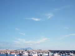 -星光岛