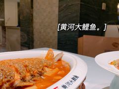 -阿五黄河大鲤鱼(纬三路店)