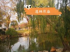 -古琴台