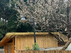 -老房子金沙元年川菜食府·花园餐厅(金沙店)