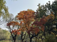 -北陵公园